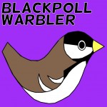 Blackpoll Warbler Social Media Badge Twitter Facebook