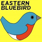 Eastern Bluebird Social Media Badges Twitter Facebook